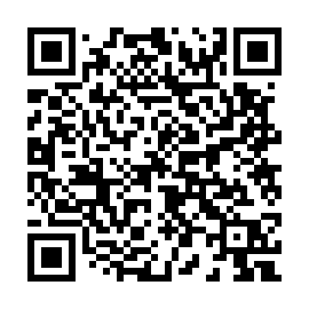 QR code for 80253P