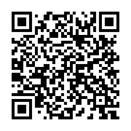 QR code for 8038PK