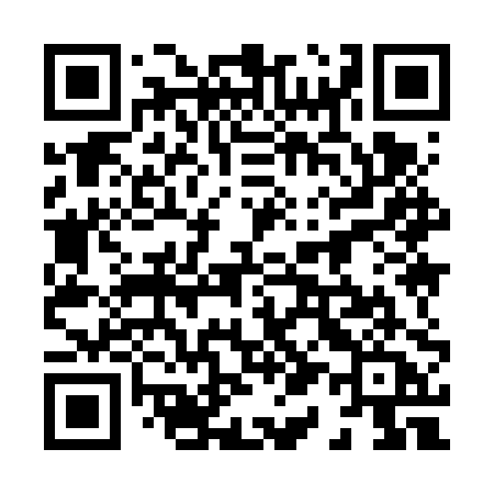 QR code for 8196PA