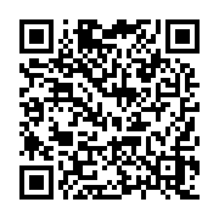 QR code for 82091Z