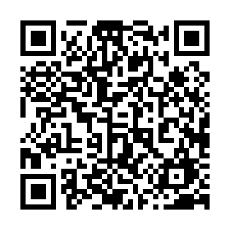 QR code for 85013G