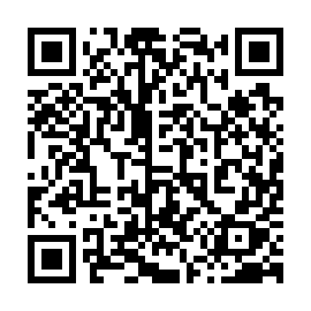 QR code for 85175X