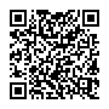 QR code for 85579P