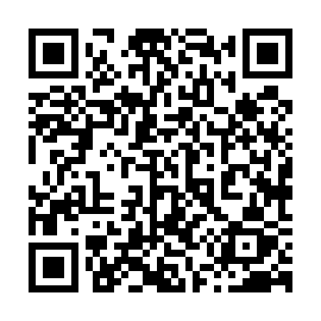 QR code for 85853Z