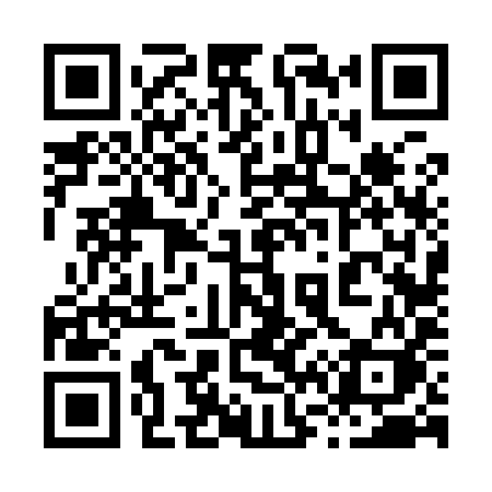 QR code for 86699K