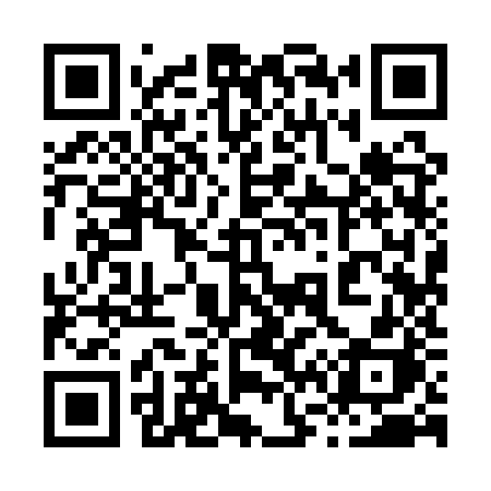 QR code for 8691ZH