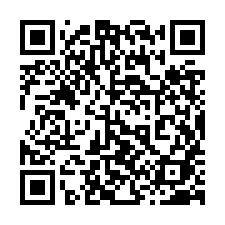 QR code for 869ZXI