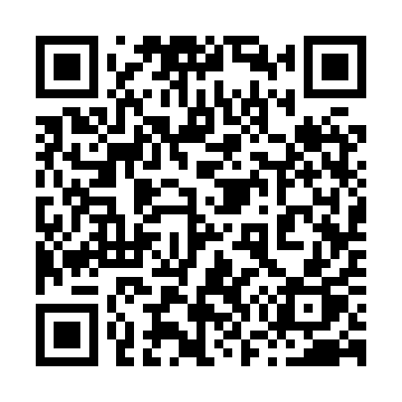 QR code for 8738QP