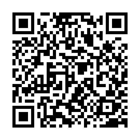 QR code for 87799Z