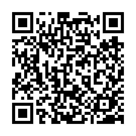 QR code for 9176PM