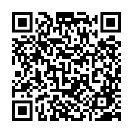 QR code for 9195DD