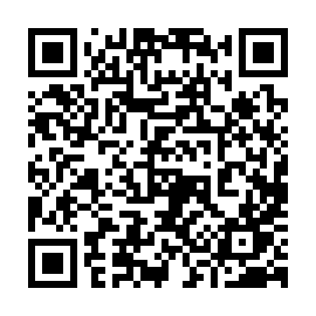 QR code for 93038T