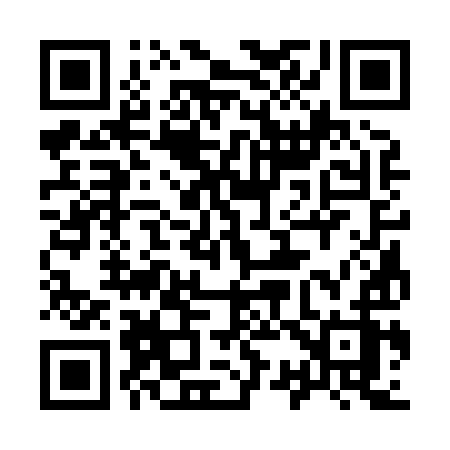 QR code for 93389Z