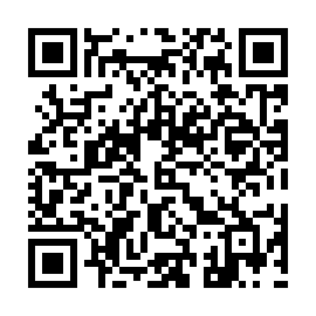 QR code for 93895B