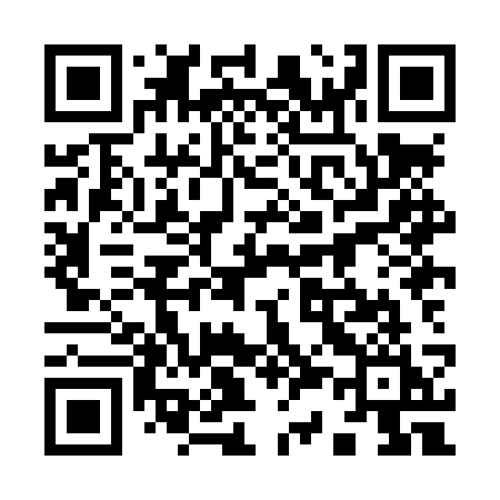 QR code for 938LSI