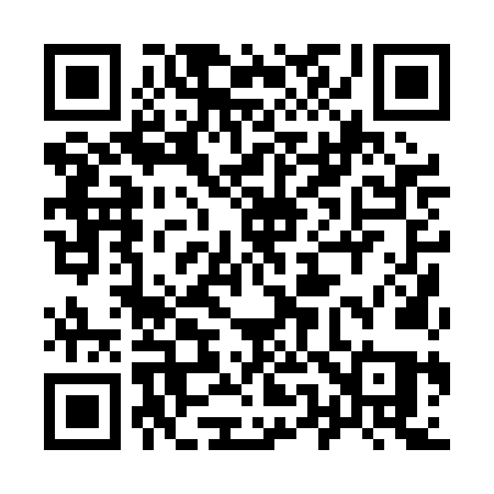 QR code for 9500NQ