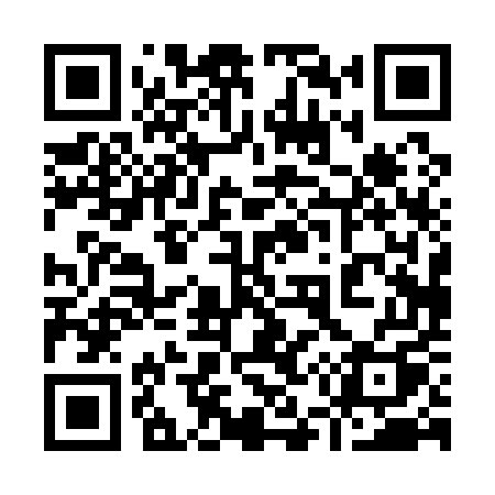QR code for 95015Q