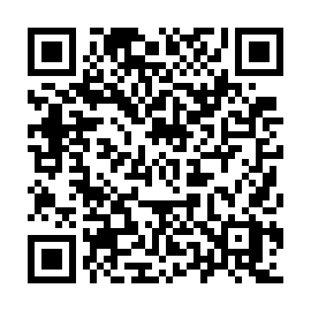 QR code for 9507DX