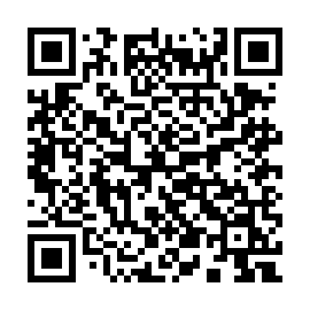 QR code for 950DMN