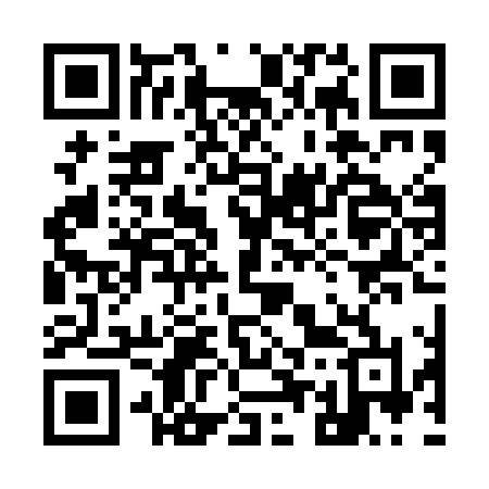 QR code for 950PLL