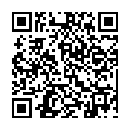 QR code for 9528IS