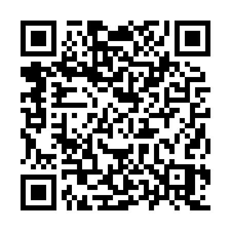 QR code for 9528SS