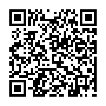 QR code for 95381T