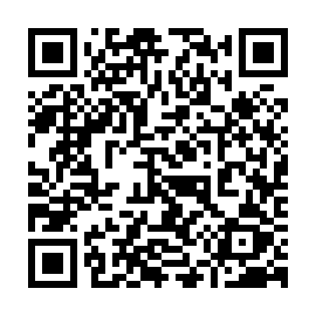 QR code for 95382Z