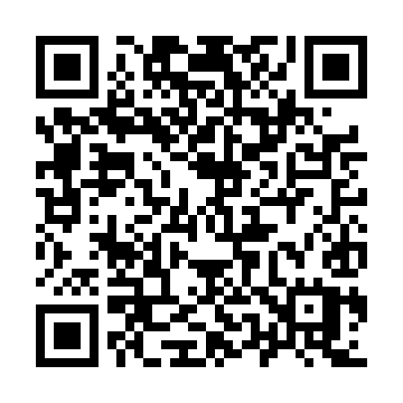 QR code for 953DIU