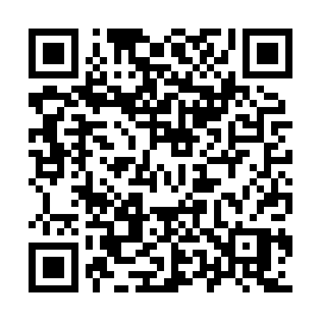 QR code for 953HPP