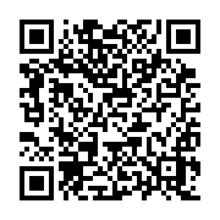 QR code for 953SIZ