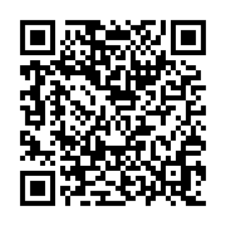 QR code for 955HAN