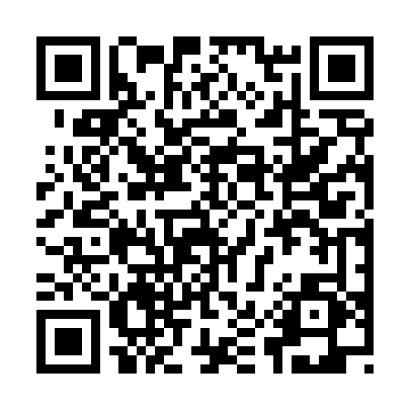 QR code for 95646P