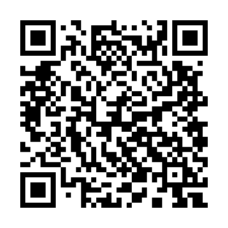 QR code for 95655I