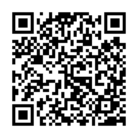 QR code for 95666P
