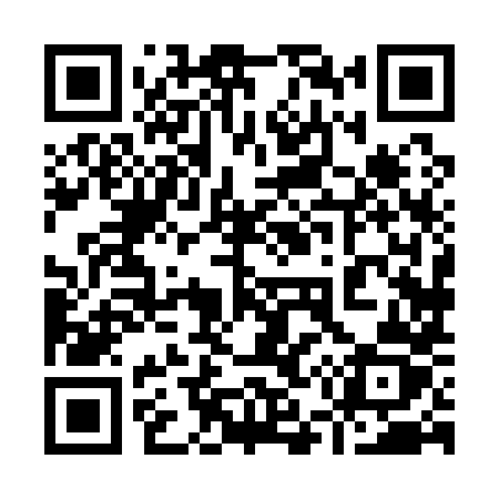 QR code for 95818Z