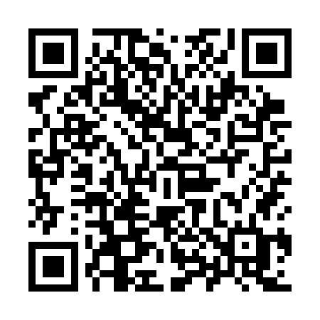 QR code for 989SGD