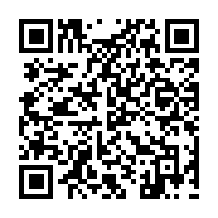 QR code for 991MLO