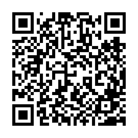 QR code for 991VDV
