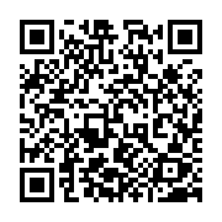 QR code for 99393Z