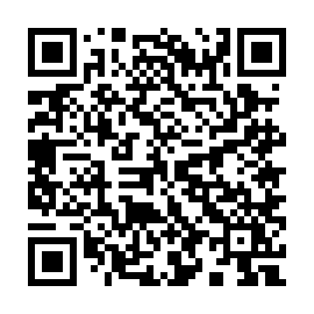 QR code for 9950LY