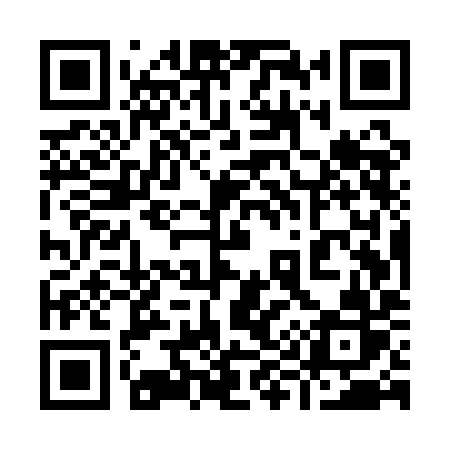 QR code for 995QIR