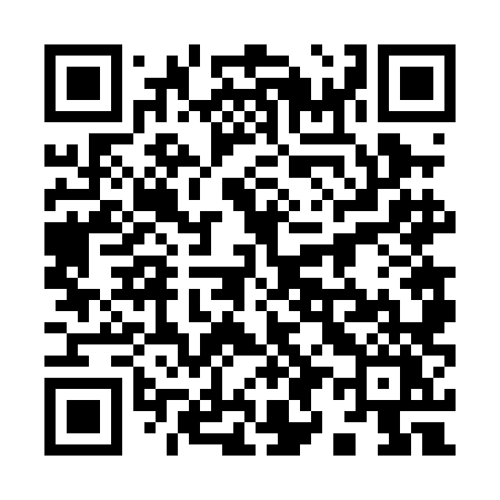 QR code for 9960LY