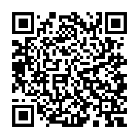 QR code for 9965LX
