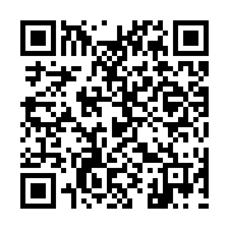 QR code for 9993TV