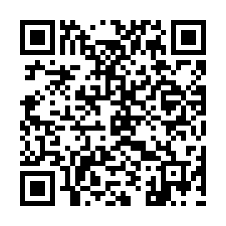 QR code for 9996CT