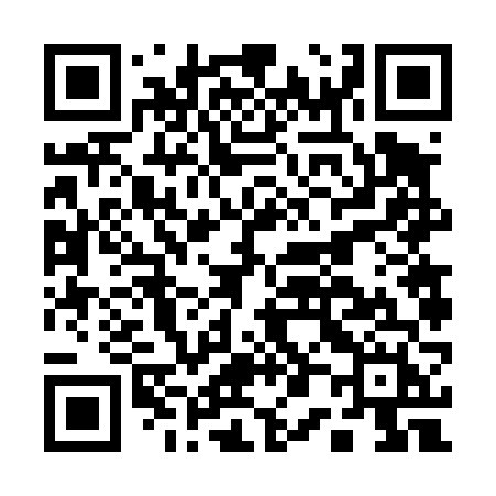 QR code for A0646H