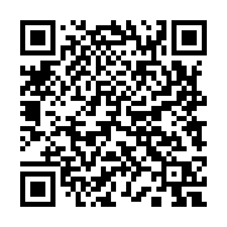 QR code for A2493P
