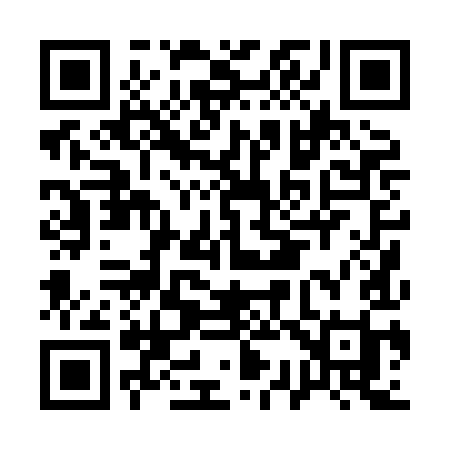 QR code for A308II