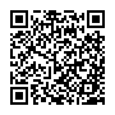 QR code for A313NO